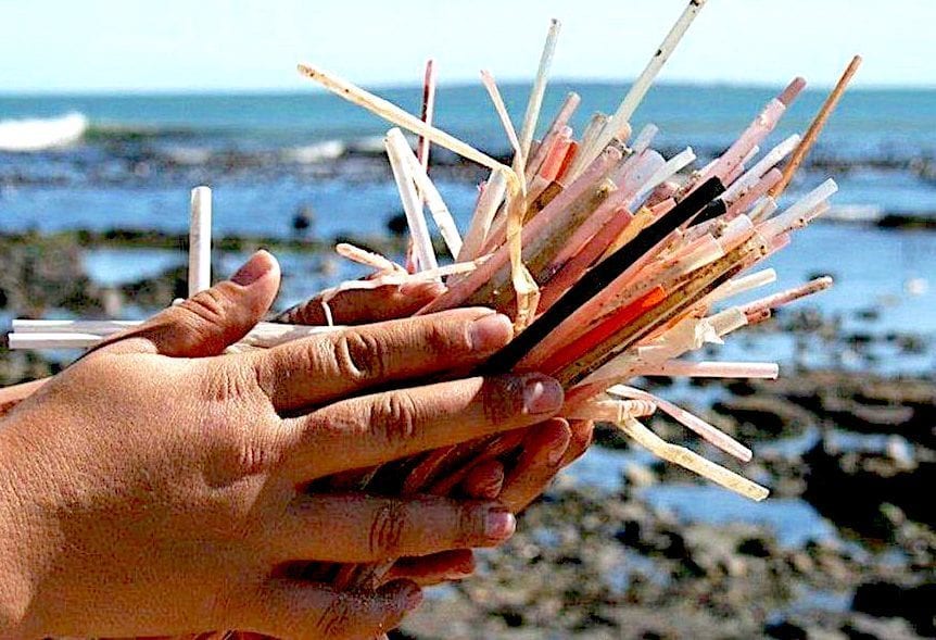 Ditching plastic straws