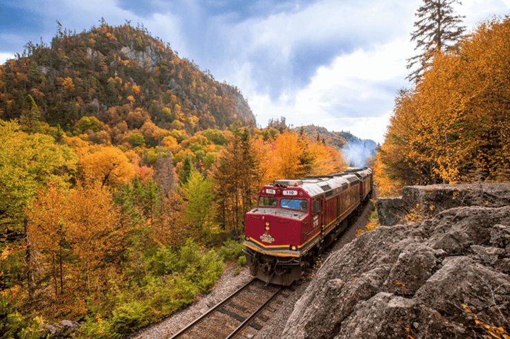Agawa Canyon Tour Train | Tired Of The 401 Grind? Discover the Northern Ontario Train Adventure Winning Over GTA Families