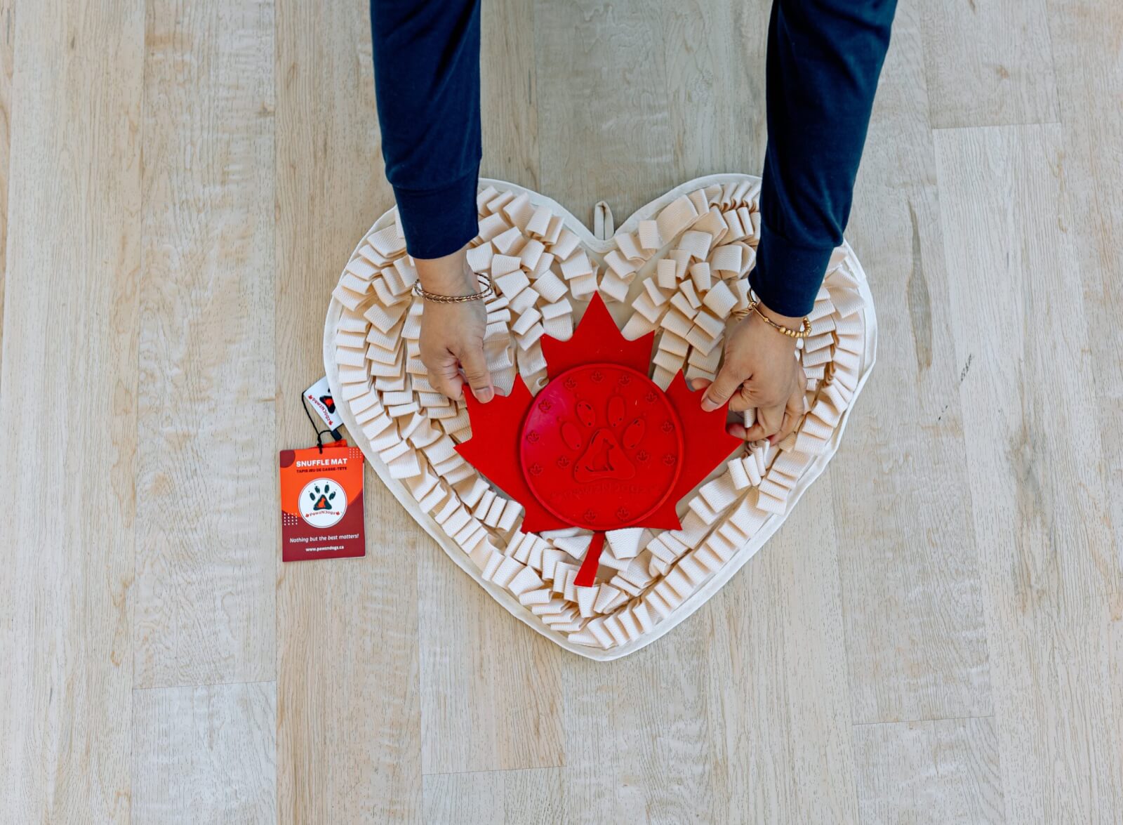 From Loss To Leadership: How A South Asian Immigrant Is Transforming Pet Wellness. PawzNDogs