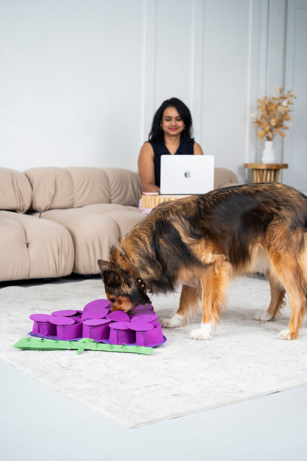From Loss To Leadership: How A South Asian Immigrant Is Transforming Pet Wellness. PawzNDogs 