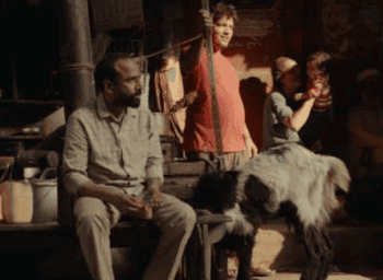 TIFF 2026: Meet the South Asian Films Set to Make an Impact