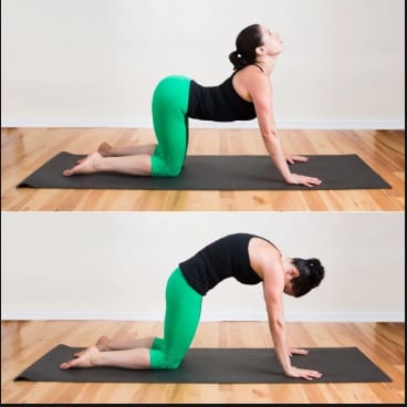 5 Yoga Poses That Will Help Ease Your Lower Back Pain