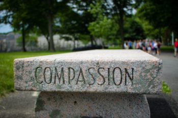 Exploring The Power Of Compassion