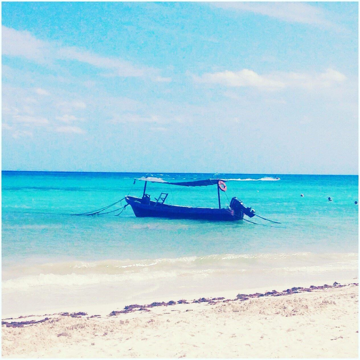 Lunch Beach Blue Parrot Playa Del Carmen