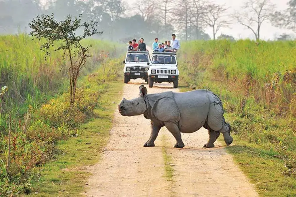 We Celebrate National Wildlife Day With Our Fave 5 Sanctuaries In India